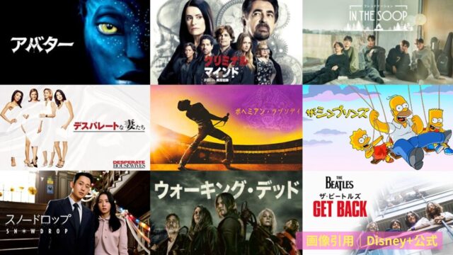 Disney+　スター